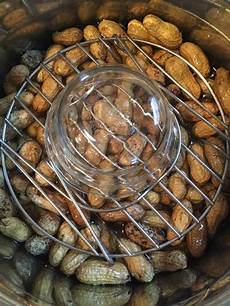 Boiled Peanuts Instant Pot