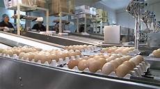 Egg Boiler