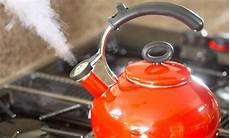 Electric Steam Pot