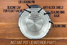 Instant Pot Duo