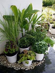 Nutri Pot