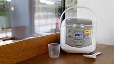 Travel Cooker Electric